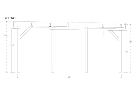 Carport Bestseller CPF-3854