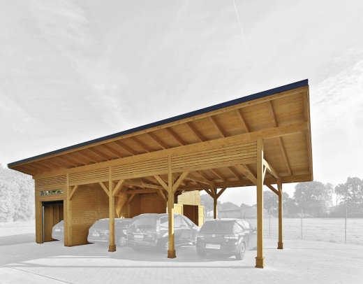 CARPORT BUTTERFLY ID28