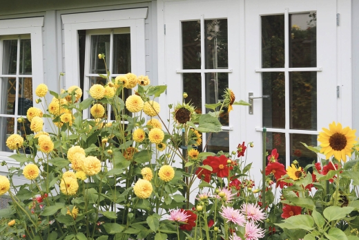 CARA STELLA DUE P (THREE-SIDED EXT.) ID405